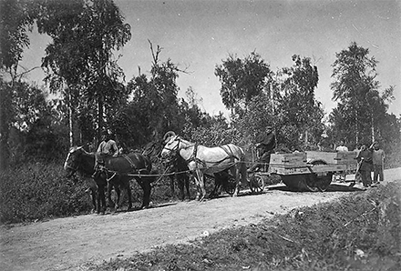 Шорох дорог в шепоте веков