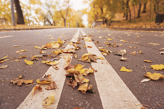 Листья желтые – скользят