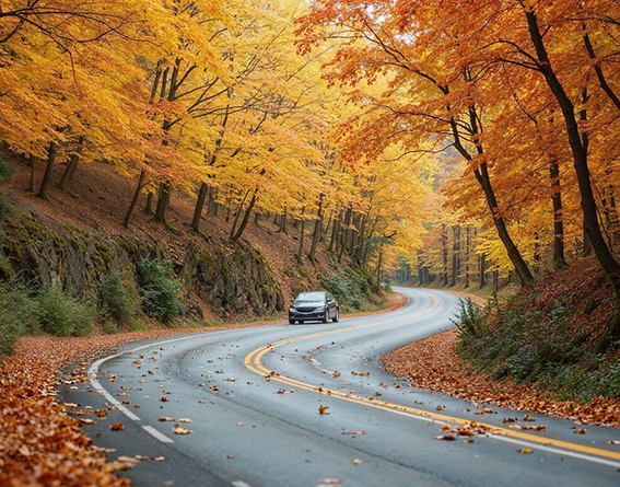 Осторожность не лишней будет