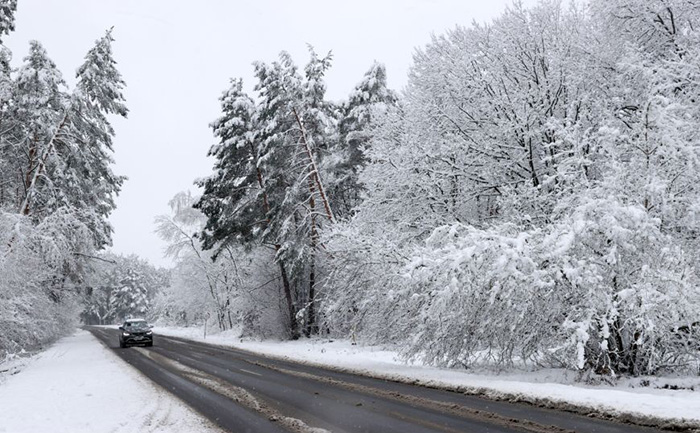 Временные ограничения движения на дорогах Гомельской области