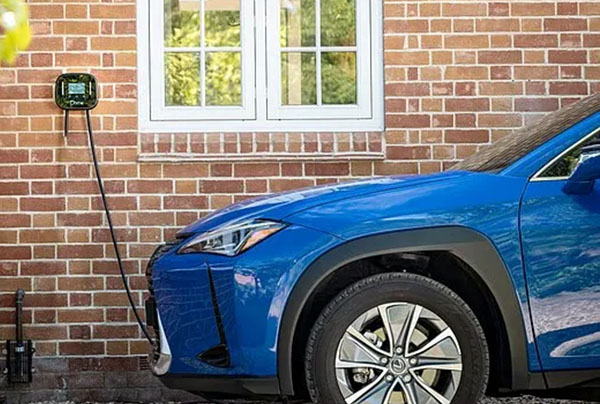 Приучая к розетке